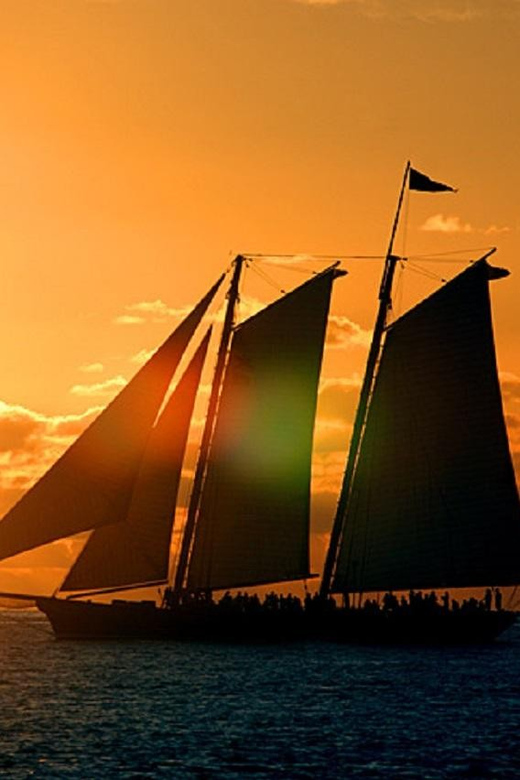 Small Group Miami and Everglades National Park 1-day Tour - Itinerary Highlights