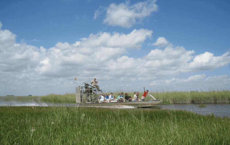Small Group Miami and Everglades National Park 1-day Tour - Optional Activities and Fees