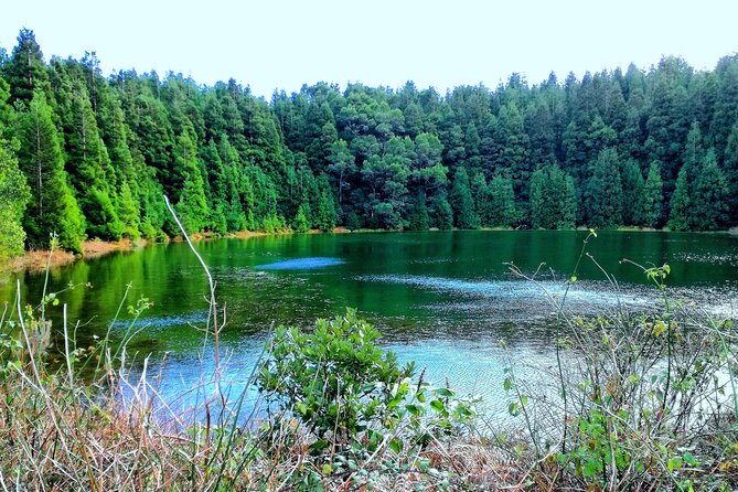 Small Group Minivan Half Day Sete Cidades Crater Tour - Exploring Sete Cidades