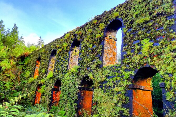 Small Group Minivan Half Day Sete Cidades Crater Tour - Accessibility and Comfort