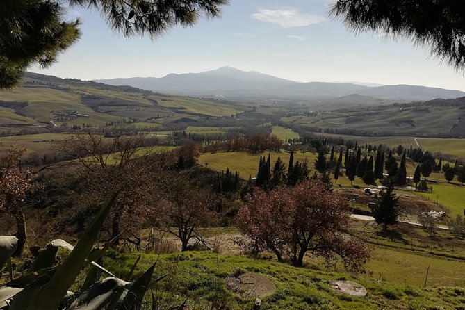Small-Group Montepulciano and Pienza Day Trip From Siena - Cancellation Policy