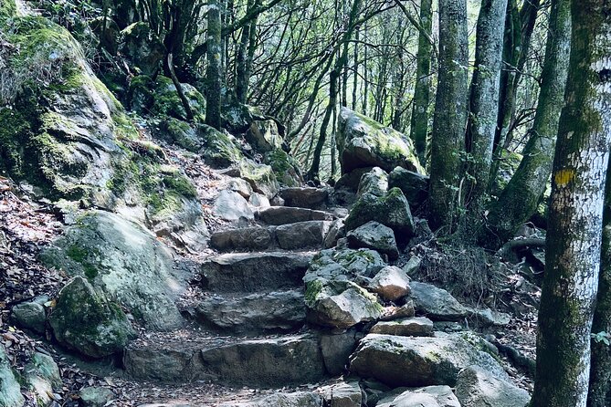Small Group Mountain Day Trip - Booking and Cancellation