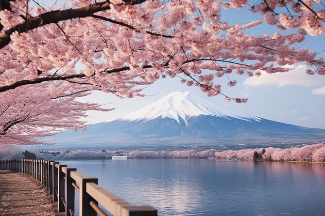 Small Group Mt. Fuji, Sengen Shrine and Lake Kawaguchi Tour - Inclusions