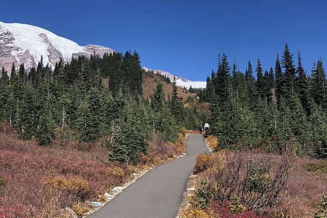 Small Group Mt Rainier National Park Day Tour From Seattle 2CANGO - Health and Safety Guidelines