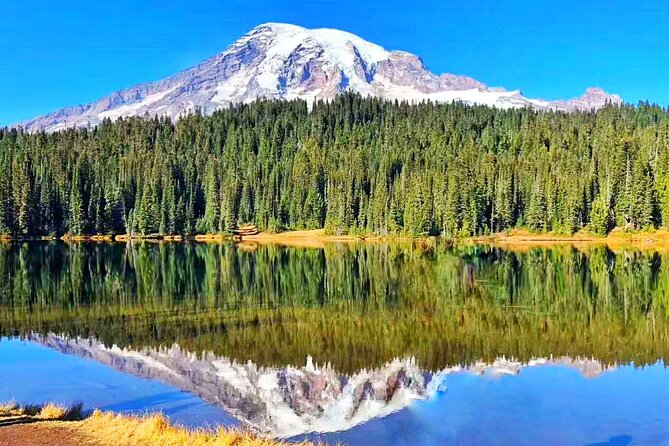 Small Group Mt Rainier National Park Day Tour From Seattle 2CANGO - Experiencing Paradise Visitor Center