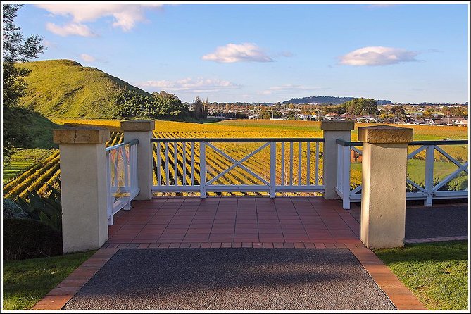 Small Group - Napier History and Art Deco Tour - 2.5 Hours - Ratings and Reviews