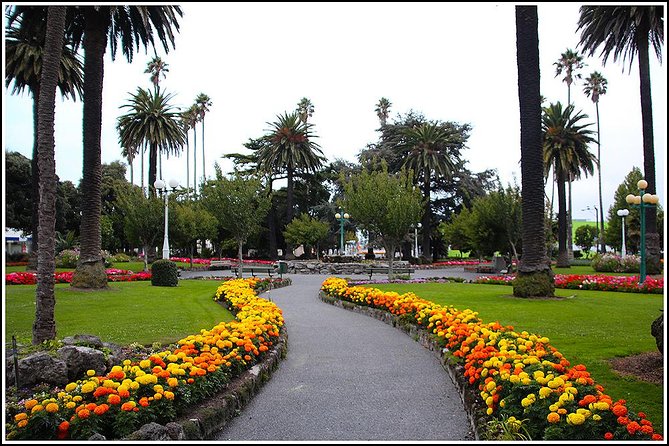 Small Group - Napier History and Art Deco Tour - 2.5 Hours - Napiers Architectural Treasures