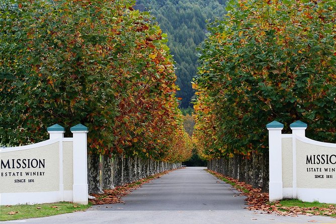 Small Group - Napier, Wine and Beer Tour - 5.5 - 6 Hours - Explore Napiers Wine and Craft Beer