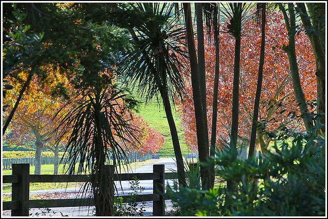 Small Group - Napier Wine Experience Tour - 5.5 - 6 Hours - Pickup and Timing