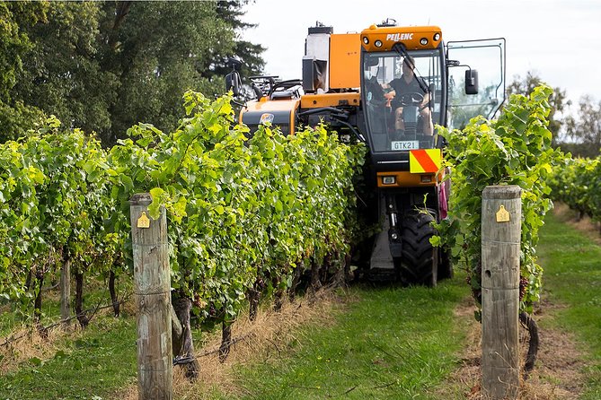 Small Group - Napier Wine Experience Tour - 5.5 - 6 Hours - Participant Information