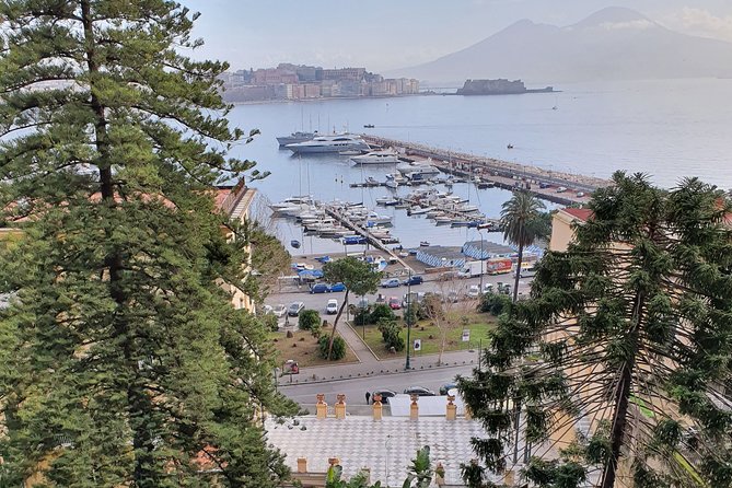 Small Group Naples City Sightseeing Tour - Included Services