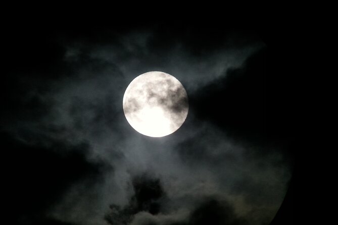Small Group Night Walking Tour in Monteverde - Guides Expertise