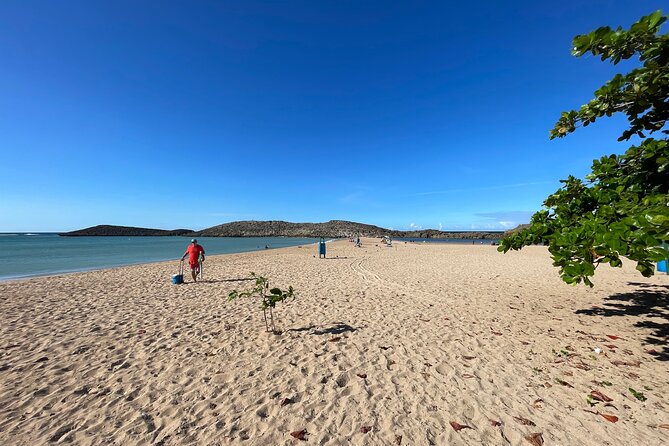 Small-Group North Coast Beach Hopping Adventure in Puerto Rico - Highlights of the Beach Hopping Tour