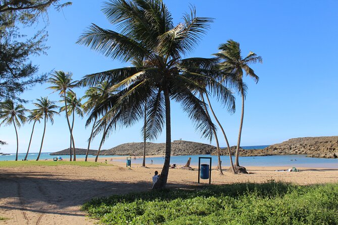 Small-Group North Coast Beach Hopping Adventure in Puerto Rico - Preparing for the Beach Hopping Experience