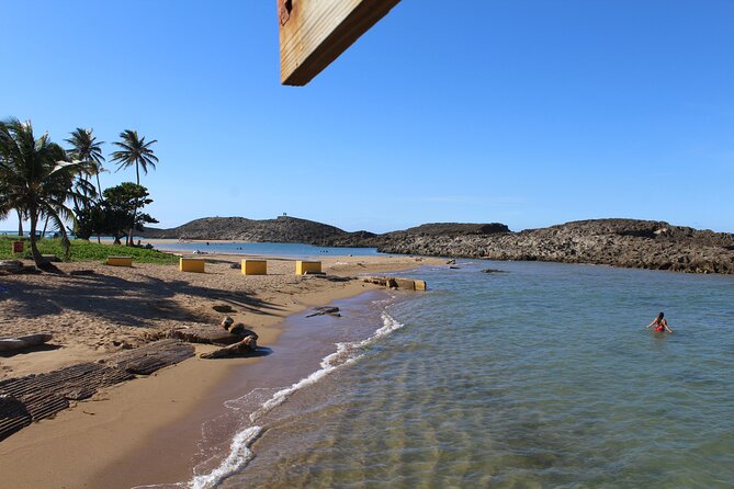 Small-Group North Coast Beach Hopping Adventure in Puerto Rico - Traveler Feedback and Recommendations