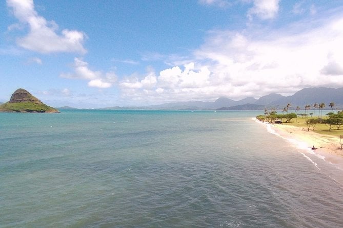 Small Group North Shore Circle Island Tour Oahu - Turtle Beach and North Shore Surf Spots