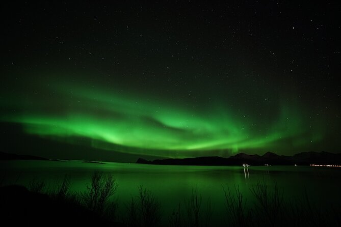 Small Group Northern Lights Chase From Tromso - Booking Confirmation and Recommendations