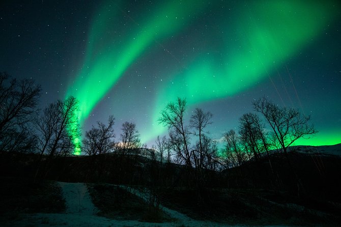 Small Group Northern Lights Chase From Tromso - Positive Customer Reviews