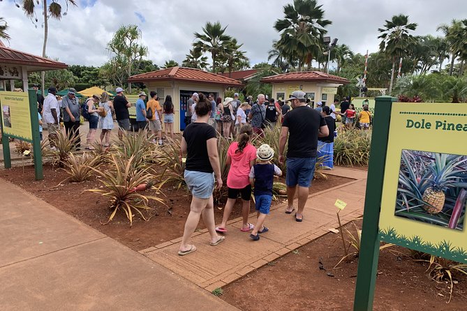 Small Group-Oahu Tour, Dole Plantation, Northshore, Sunset Beach - Logistics