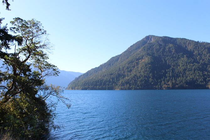 Small Group Olympic National Park Day Tour From Seattle 2CANGO - Guest Feedback and Experiences