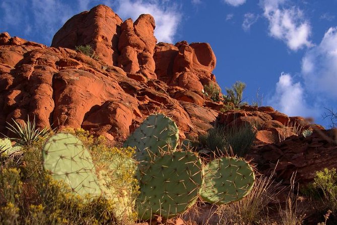 Small Group or Private Sedona and Native American Ruins Day Tour - Customer Reviews