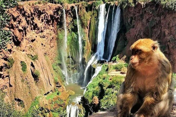 Small Group Ouzoud Waterfall Guided Tour Boat Ride From Marrakech - Traveler Reviews