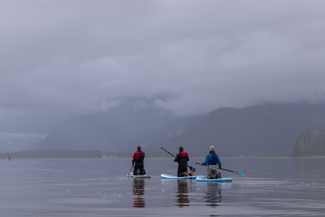 Small Group Paddleboard Adventure With Mendenhall Glacier Views - Review Highlights From Travelers
