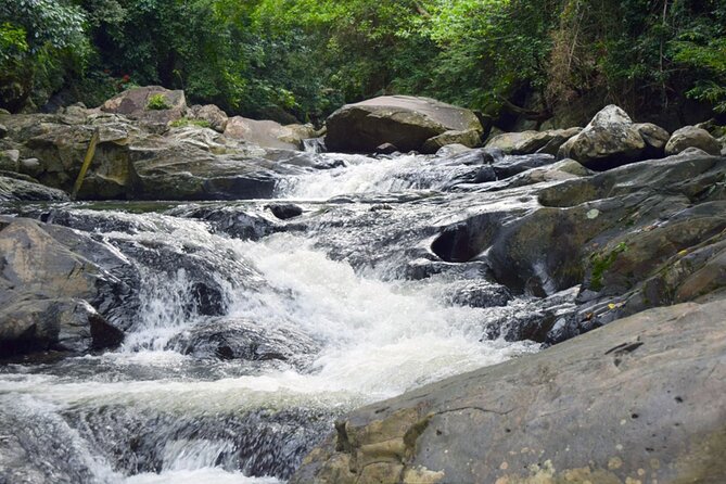 Small-Group Pala U Waterfall Jungle Tour From Hua Hin - What to Expect