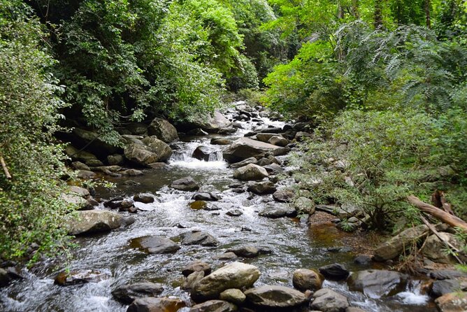 Small-Group Pala U Waterfall Jungle Tour From Hua Hin - Booking Information