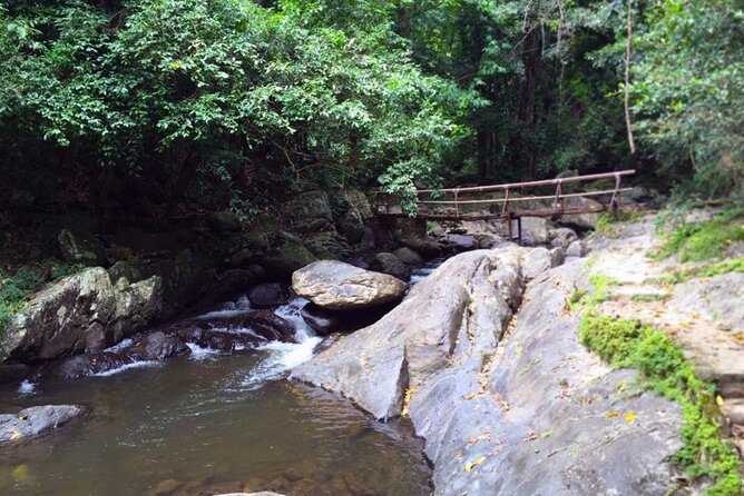 Small-Group Pala U Waterfall Jungle Tour From Hua Hin - Nature and Wildlife