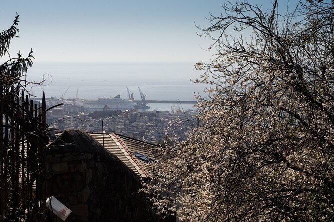 Small-Group Panoramic Photo Tour of Genoa - Confirmation and Feedback
