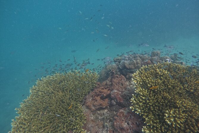 Small Group Phi Phi Islands Sunrise Tour With Seaview Lunch - Customer Feedback