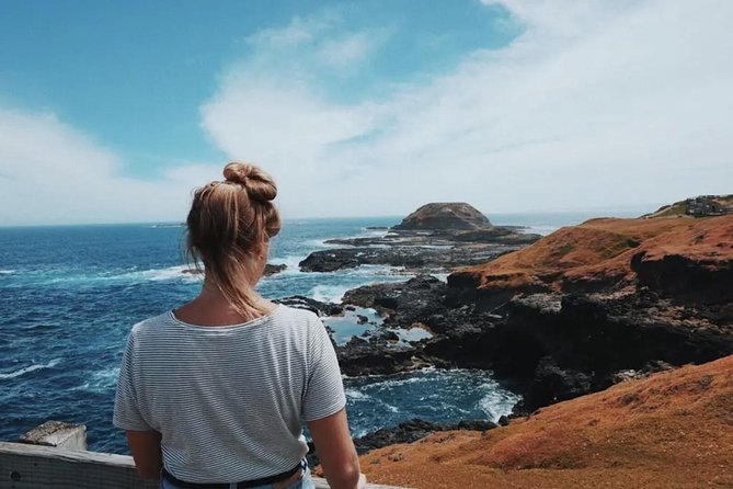 Small Group - Phillip Island Hike & Penguin Parade Day Tour From Melbourne - Scenic Hike and Wildlife Encounters