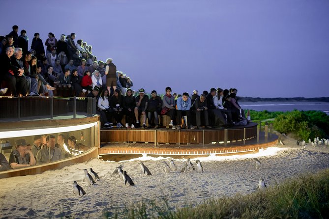 Small-Group Phillip Island Penguin Parade Day Tour From Melbourne - Photography and Video Policy