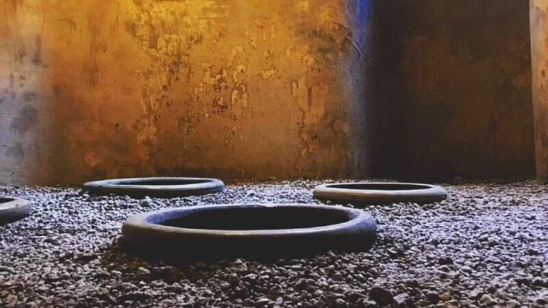 Small Group Pompeii Wine Tasting: Lunch & Transfer Included - Customer Feedback
