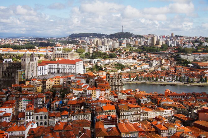 Small-group Portos Roots Walking Tour - Highlights of the Tour