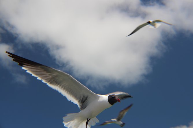 Small-Group Private Key West Tour With Expert Guide - Booking and Cancellation Policy