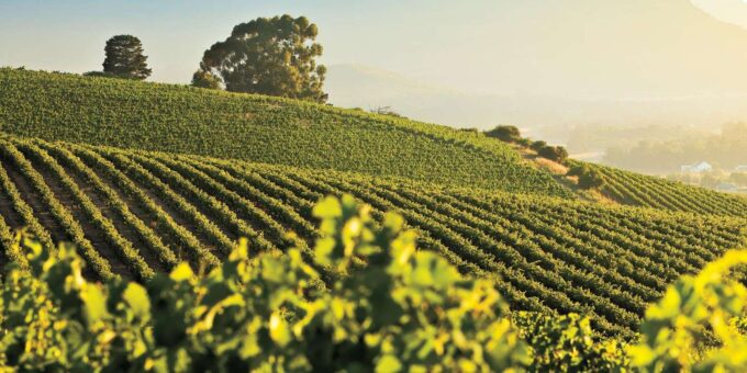Small Group Private Tour - Cape Winelands (Min. 5 Pax) - Frequently Asked Questions