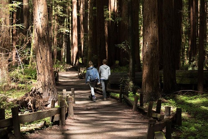 Small Group Redwoods, California Coast & Sausalito Day Trip From San Francisco - Inclusions and Exclusions