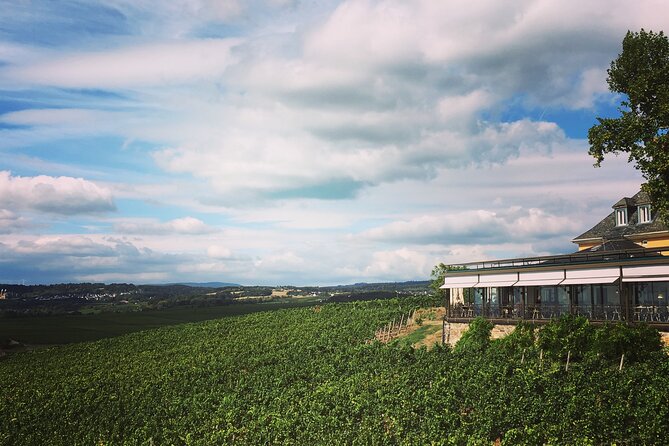 Small Group Rheingau Vineyards Tour With Castles and Abbeys - Meeting and Transportation