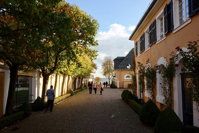 Small Group Rheingau Vineyards Tour With Castles and Abbeys - Tour Inclusions