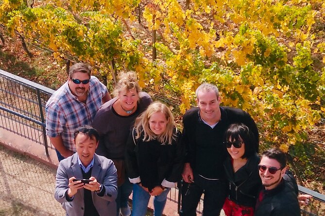 Small Group Rheingau Vineyards Tour With Castles and Abbeys - Health and Accessibility