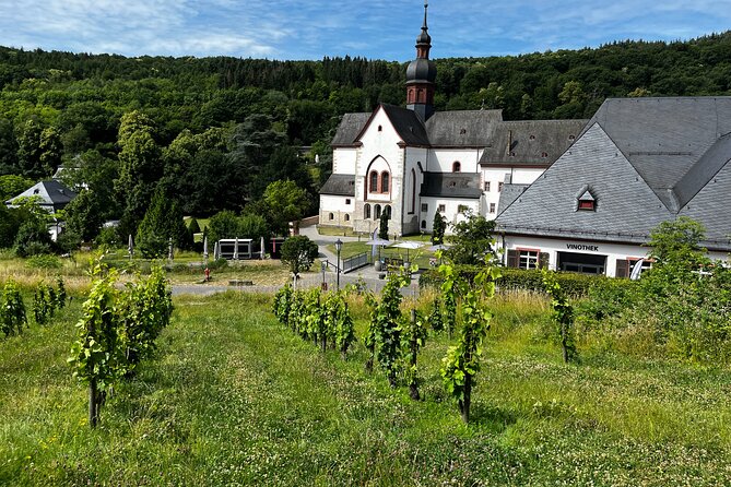 Small Group Rheingau Vineyards Tour With Castles and Abbeys - Guest Reviews