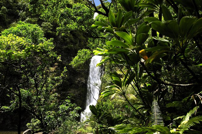 Small-Group Road to Hana Luxury Tour - Exceptional Guides