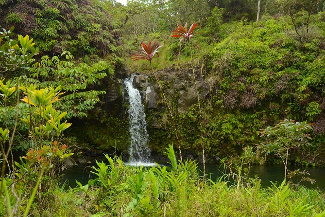 Small-Group Road to Hana Luxury Tour - Breathtaking Views