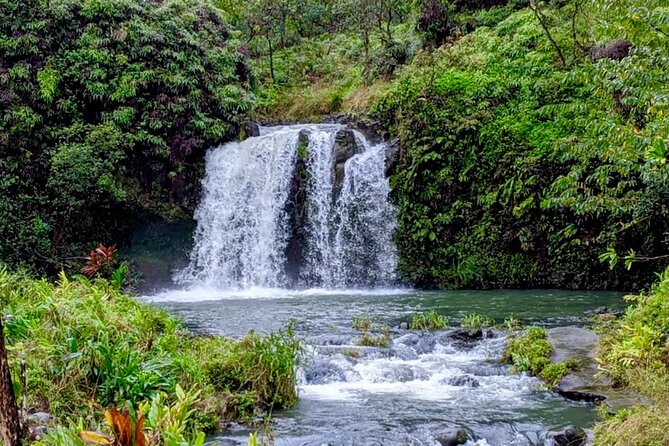 Small Group Road to HāNa Tour 6 to 8 Passengers - Positive Guest Reviews