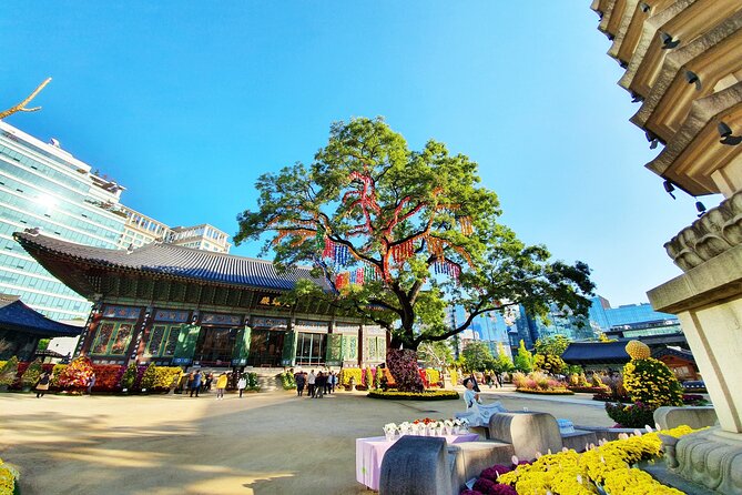 Small-Group Royal Palace and Seoul City Tour W/ Lunch - Booking and Logistics