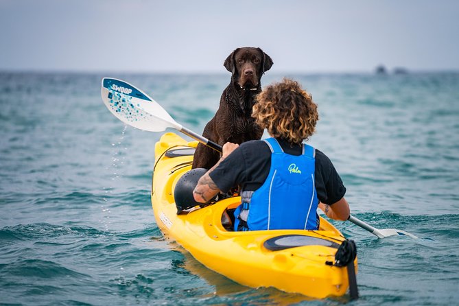 Small-Group Santorini Sea Caves Kayak Trip With Snorkeling & Picnic - Inclusions and Amenities