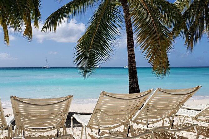 Small Group: Saona Island Full Day Tour - Itinerary Highlights