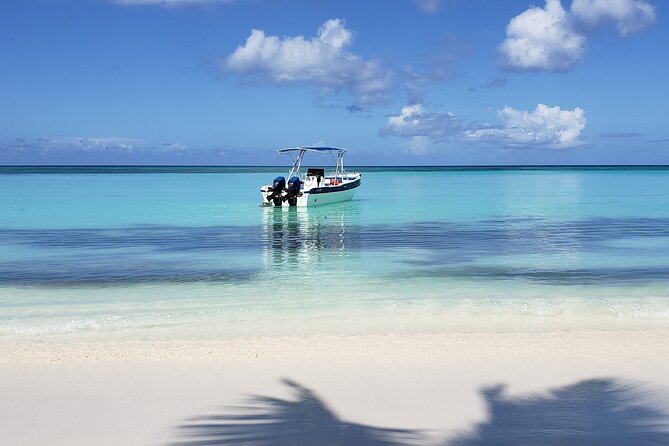 Small Group: Saona Island Full Day Tour - Guide and Educational Experience